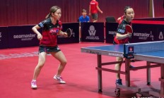 九游app下载-丹麦主场大捷，挫败波兰晋级四强