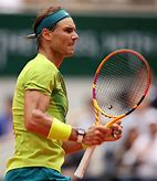 关于西班牙网球队轻取意大利网球队，纳达尔制霸全场的信息